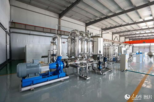 山東濟南 降本提效，發展生物科技新質生產力