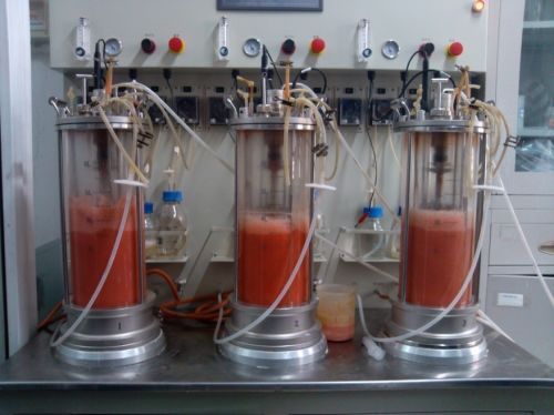 科技引領健康，益然展望未來 北京益然生物科技首屆新聞發布會聚焦生物科技研發新紀元